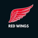 red-wings-kapper-otzyvy