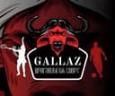 gallaz-prognozy-na-sport-obzor