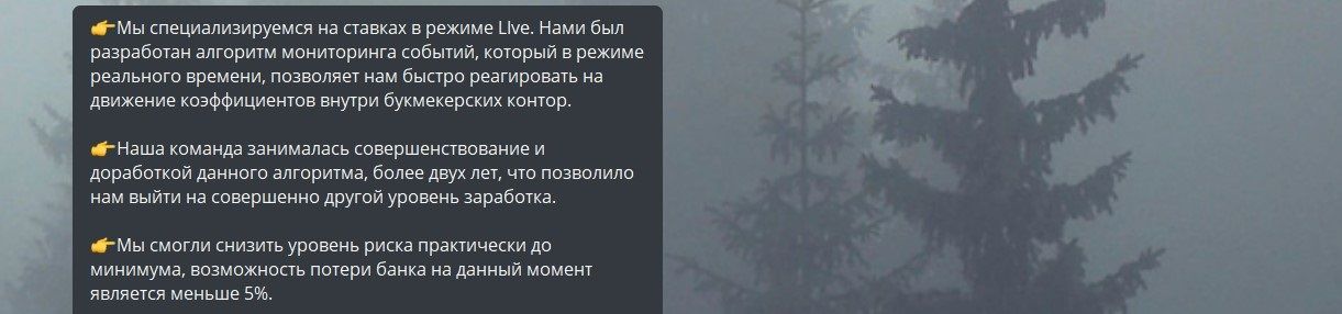 skynet bot каппер