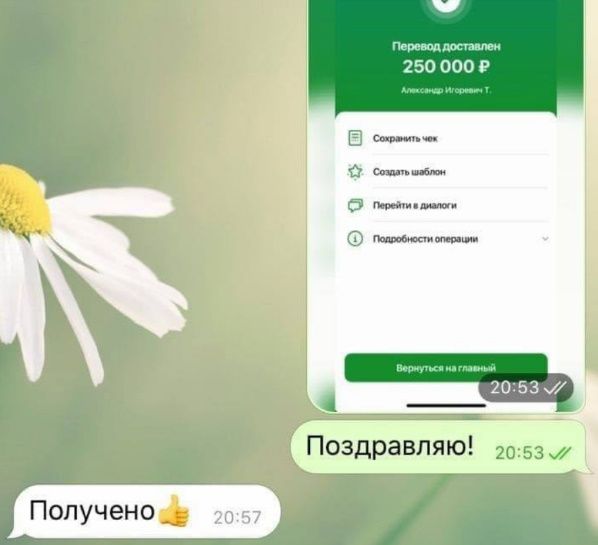 реальные отзывы людей о трейдере