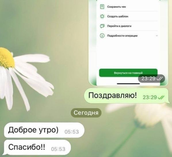 отзывы 