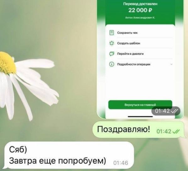 отзывы о ставках 
