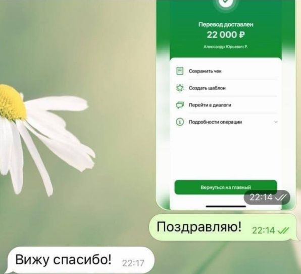 реальные отзывы о трейдере