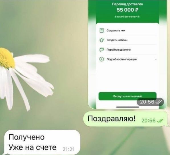 отзывы 