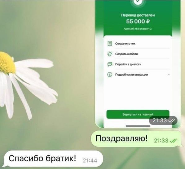 ответы трейдера 