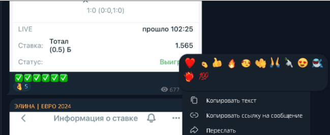 Элина Евро 2024 Элина Евро 2024