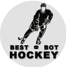 best-bot-hockey-otzyvy