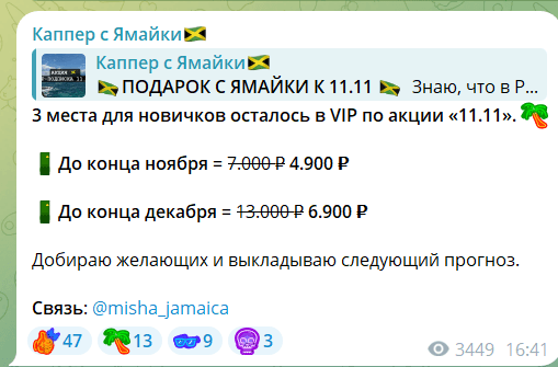 Миша Ямайка Миша Ямайка